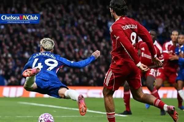 Chấm Điểm Cầu Thủ Chelsea Chuẩn Phân Tích Cùng Chelseavnclub