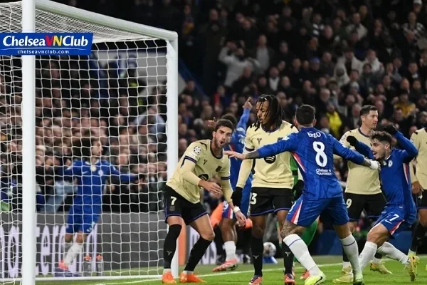 Chelsea Giữ Sạch Lưới: Phân Tích Chiến Thuật Cùng Chelseavnclub