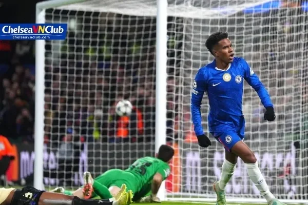 Chelsea thua bao nhiêu trận? Phân Tích Toàn Diện Cùng Chelseavnclub