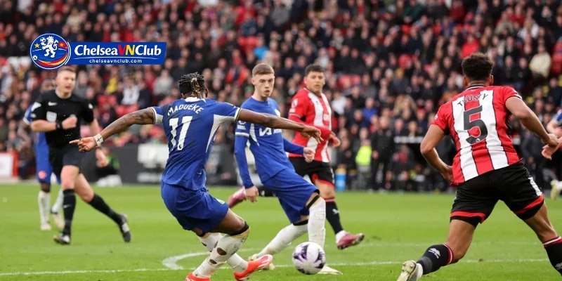 Giao diện Chelseavnclub trực quan