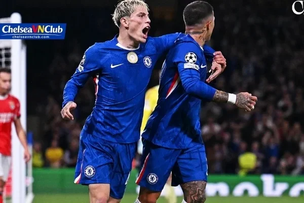 Họp Báo Chelsea Cập Nhật Góc Nhìn Mới Tại Chelseavnclub Họp Báo Chelsea Cập Nhật Góc Nhìn