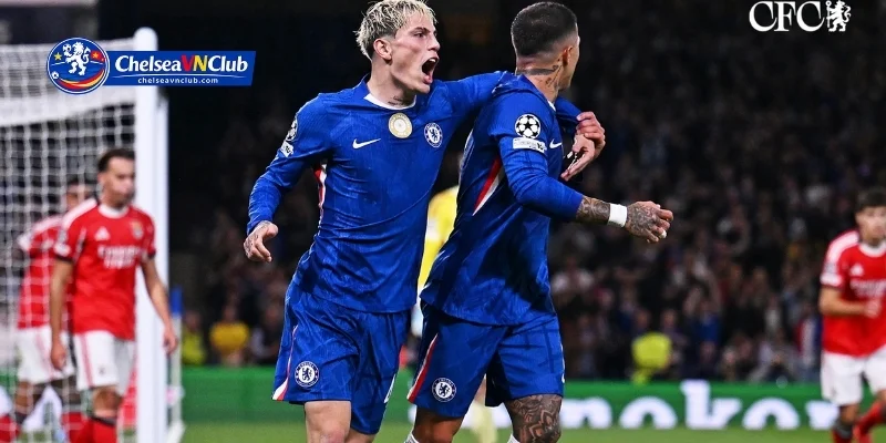 Họp Báo Chelsea Cập Nhật Góc Nhìn