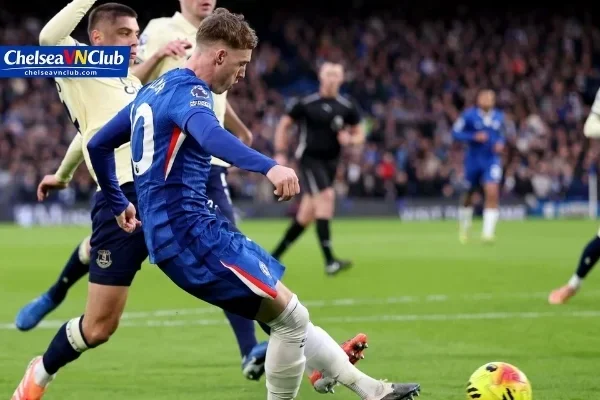 Hợp Đồng Cầu Thủ Chelsea
