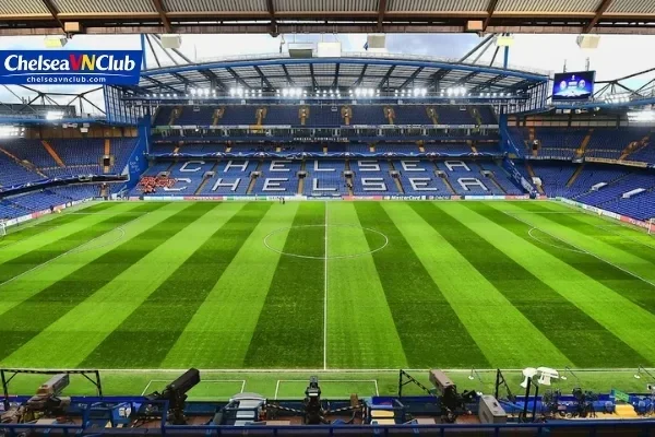 Sức Chứa Sân Stamford Bridge: Góc Nhìn Toàn Diện Cùng Chelseavnclub Sức Chứa Sân Stamford Bridge