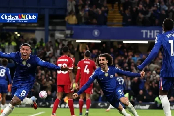 Tin Nội Bộ Chelsea Cập Nhật Mỗi Ngày Tại Chelseavnclub Tin Nội Bộ Chelsea Cập Nhật