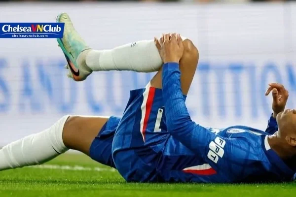 Ý Nghĩa Logo Chelsea: Giải Mã Biểu Tượng Đầy Tự Hào | Chelseavnclub